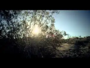 Video: K. Roosevelt - The One